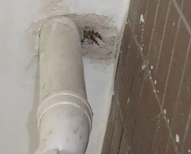 汉中漏水检测哪家好